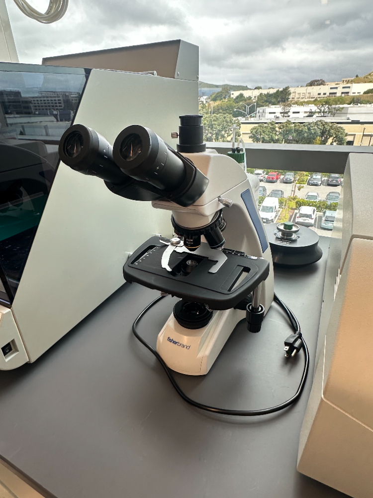Image of Fisherbrand Microscope